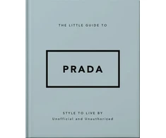 KNYGA Orange Hippo Little Guide to Prada