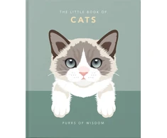 KNYGA Orange Orange Hippo Little Book of Cats, Purrs of Wisdom