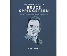 KNYGA Orange Orange Hippo Little Guide to Bruce Springsteen