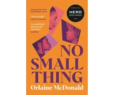 KNYGA Orlaine Mcdonald No Small Thing, 'One of the best debut novels I’ve read in recent metai' Bernardine Evaristo