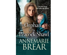 KNYGA Orphan in the Peacock Shawl, A gripping historical novel from AnneMarie Brear