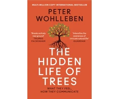 KNYGA P Wohlleben Hidden Life of Trees