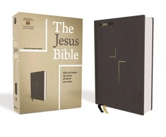 KNYGA Passion Jesus Bible, ESV Edition, Cloth over Board, Gray