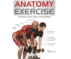 KNYGA Pat Manocchia Anatomy of Exercise