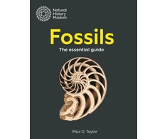 KNYGA Paul D Taylor Fossils