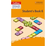KNYGA Paul Hodge International Primary Maths Student's Book: Stage 6