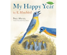 KNYGA Paul Meisel My Happy Year by E.Bluebird