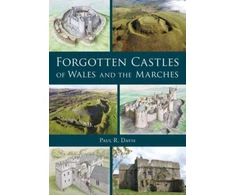 KNYGA Paul R Davis Forgotten Castles of Wales and the Marches