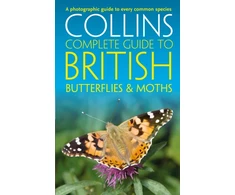 KNYGA Paul Sterry British Butterflies and Moths