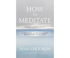 KNYGA Pema Chodron How to Meditate