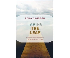 KNYGA Pema Chodron Taking the Leap