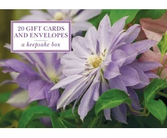 KNYGA Peony Press Tin Box of 20 Gift Cards and Envelopes: Clematis