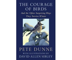KNYGA Pete Dunne Dunne Pete Courage of Birds: And the Often Surprising Ways They Survive Winter