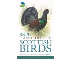 KNYGA Peter Holden RSPB Handbook of Scottish Birds