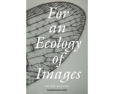 KNYGA Peter Szendy For an Ecology of Images