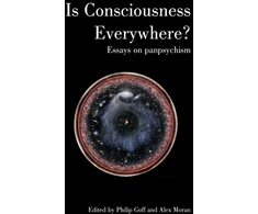 KNYGA Philip Goff Is Consciousness Everywhere?