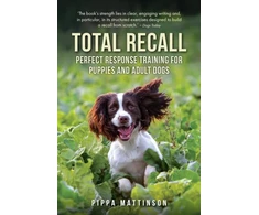 KNYGA Pippa Mattinson Total Recall