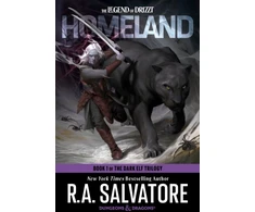 KNYGA R A Salvatore Homeland: Dungeons &amp; Dragons