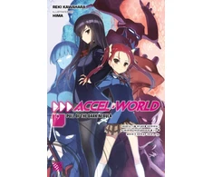 KNYGA Reki Kawahara Accel World, Vol. 19 (light novel)