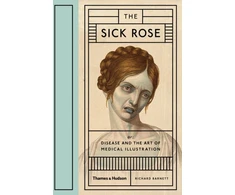 KNYGA Richard Barnett Sick Rose