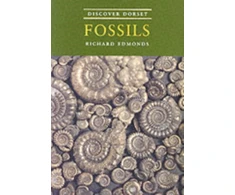 KNYGA Richard Edmonds Discover Dorset Fossils