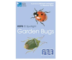 KNYGA Richard Lewington RSPB ID Spotlight - Garden Bugs