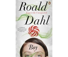 KNYGA Roald Dahl Boy