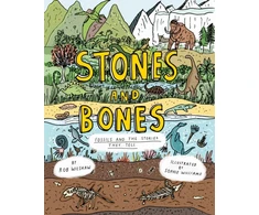 KNYGA Rob Wilshaw Stones and Bones, Fossils and the stories they tell