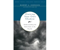 KNYGA Robert A Johnson Owning Your Own Shadow