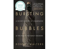 KNYGA Robert Walters Bursting Bubbles