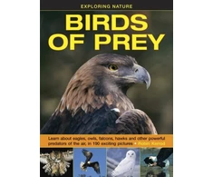 KNYGA Robin Kerrod Exploring Nature: Birds of Prey