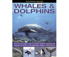 KNYGA Robin Kerrod Exploring Nature: Whales &amp; Dolphins