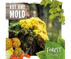 KNYGA Robin Twiddy Rot &amp; Mould