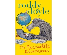 KNYGA Roddy Doyle Meanwhile Adventures