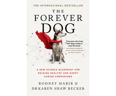 KNYGA Rodney Habib Forever Dog