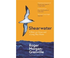 KNYGA Roger Morgan Grenville Shearwater, A Bird, an Ocean, and a Long Way Home
