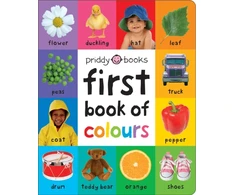 KNYGA Roger Priddy RoGer First 100 Book of Colours