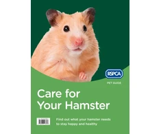 KNYGA RSPCA Care for Your Hamster
