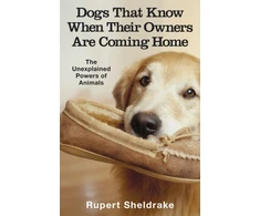 KNYGA Rupert Sheldrake Dogs That Know When Their Owners Are Coming Home