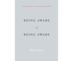 KNYGA Rupert Spira Being Aware of Being Aware