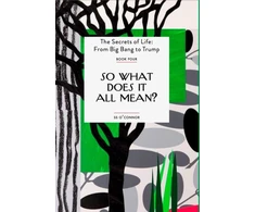KNYGA S S Oconnor So What Does It All Mean?