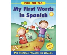 KNYGA Sally Delaney Pull the Tab: My First Words in Spanish