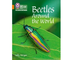 KNYGA Sally Morgan Beetles Around the World