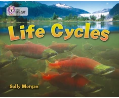 KNYGA Sally Morgan Life Cycles, Band 16/Sapphire