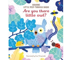 KNYGA Sam Taplin Are you there little Owl?