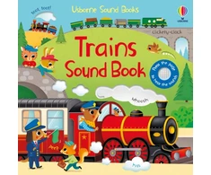 KNYGA Sam Taplin Trains Sound Book