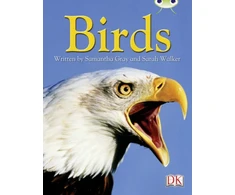 KNYGA Samantha Gray BC NF Pilkas B/4C Birds