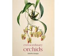 KNYGA Sandra Knapp Extraordinary Orchids