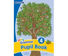 KNYGA Sara Wernham Grammar 4 Pupil Book, In Print Letters (British English edition)