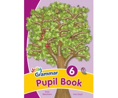 KNYGA Sara Wernham Grammar 6 Pupil Book, In Precursive Letters (British English edition)